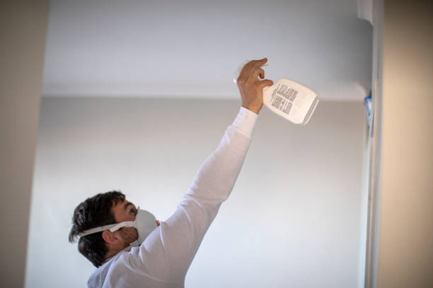 Best Mold Cleaning Services  in Park Falls, WI