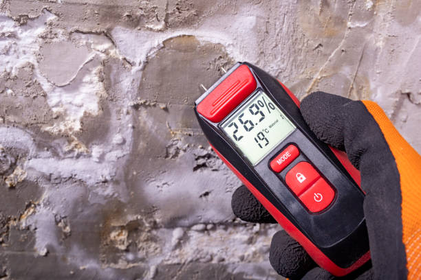 Best Commercial Mold Removal  in Park Falls, WI