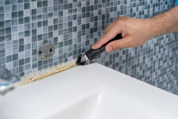 Mold Removal Process in Park Falls, WI