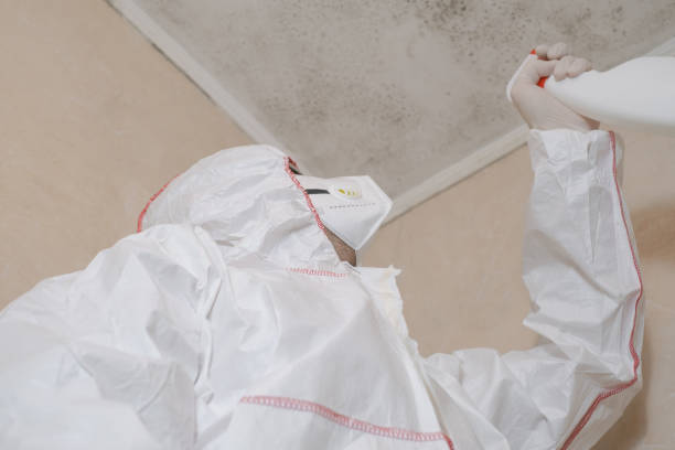 Best Office Mold Removal Services  in Park Falls, WI