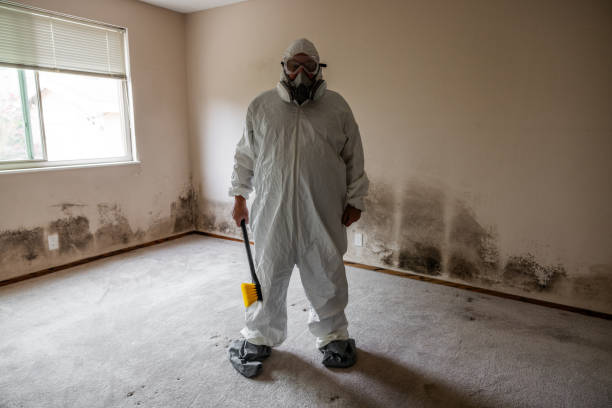 Best Mold Testing  in Park Falls, WI